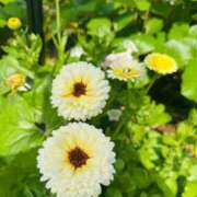 ヒメ日記 2025/04/29 09:27 投稿 かな マリン宮殿雄琴店