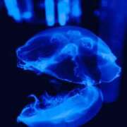 ヒメ日記 2025/05/14 14:33 投稿 かな マリン宮殿雄琴店