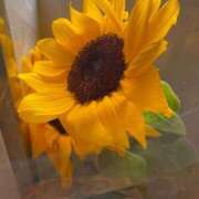 ヒメ日記 2025/06/02 11:47 投稿 かな マリン宮殿雄琴店