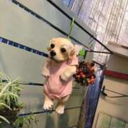 ヒメ日記 2025/06/04 11:47 投稿 かな マリン宮殿雄琴店