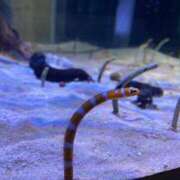 ヒメ日記 2025/06/12 13:50 投稿 かな マリン宮殿雄琴店