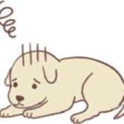 ヒメ日記 2025/06/24 23:07 投稿 かな マリン宮殿雄琴店