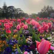 ヒメ日記 2025/07/07 19:37 投稿 かな マリン宮殿雄琴店