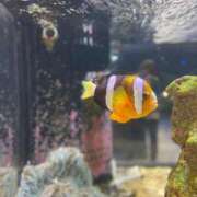 ヒメ日記 2025/07/09 15:27 投稿 かな マリン宮殿雄琴店