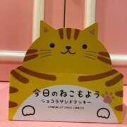 ヒメ日記 2025/07/15 21:57 投稿 かな マリン宮殿雄琴店