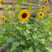 ヒメ日記 2025/09/14 12:47 投稿 かな マリン宮殿雄琴店