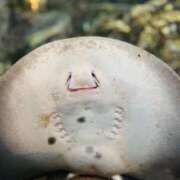 ヒメ日記 2025/09/18 13:47 投稿 かな マリン宮殿雄琴店