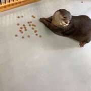 ヒメ日記 2025/10/04 15:17 投稿 かな マリン宮殿雄琴店