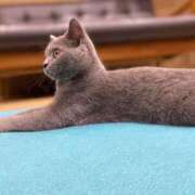 ヒメ日記 2025/10/07 10:59 投稿 かな マリン宮殿雄琴店