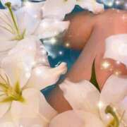 ヒメ日記 2025/04/25 18:14 投稿 桜井桃香(さくらいももか) 鶯谷ナンバーワン