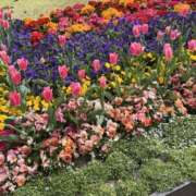 ヒメ日記 2025/05/21 12:14 投稿 桜井桃香(さくらいももか) 鶯谷ナンバーワン