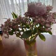 ヒメ日記 2025/05/31 22:38 投稿 桜井桃香(さくらいももか) 鶯谷ナンバーワン