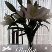 ヒメ日記 2025/11/15 22:20 投稿 桜井桃香(さくらいももか) 鶯谷ナンバーワン