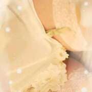 ヒメ日記 2025/11/29 14:58 投稿 桜井桃香(さくらいももか) 鶯谷ナンバーワン