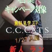 ヒメ日記 2024/02/13 16:27 投稿 ラン C.C.CATS