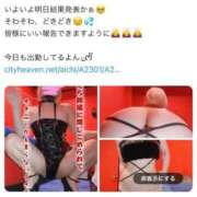 ヒメ日記 2025/11/11 21:45 投稿 ゆり♡けつま〇こ娘とAF三昧 ドMなバニーちゃん 柴田店