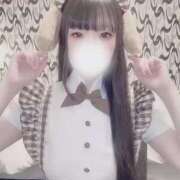 ヒメ日記 2025/11/19 10:09 投稿 はな マリン宇都宮店