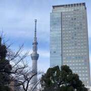 ヒメ日記 2024/12/27 15:44 投稿 きょうこ 錦糸町人妻セレブリティ（ユメオト）