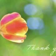 ヒメ日記 2024/12/28 02:45 投稿 きょうこ 錦糸町人妻セレブリティ（ユメオト）