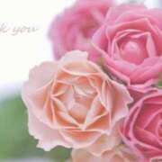 ヒメ日記 2024/12/31 03:11 投稿 きょうこ 錦糸町人妻セレブリティ（ユメオト）