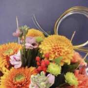 ヒメ日記 2025/01/02 03:50 投稿 きょうこ 錦糸町人妻セレブリティ（ユメオト）