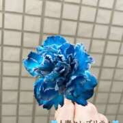 ヒメ日記 2025/02/03 17:42 投稿 きょうこ 錦糸町人妻セレブリティ（ユメオト）