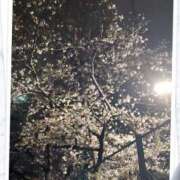 きょうこ 💕🙏🌸 錦糸町人妻セレブリティ（ユメオト）