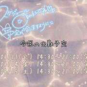 ヒメ日記 2024/06/10 19:35 投稿 なお ちゃんこ幕張店