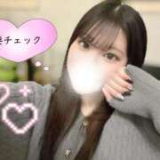 ヒメ日記 2025/11/01 16:35 投稿 茨城さつき ウルトラハピネス