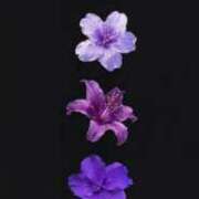 ヒメ日記 2025/05/17 14:58 投稿 れい Smart(スマート)