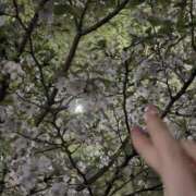 ヒメ日記 2026/04/06 20:13 投稿 譜久村ひかり-HIKARI- Casual Rich 5（カジュアルリッチファイブ）