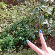 ヒメ日記 2025/03/17 15:14 投稿 七瀬 かえで 快楽園 大阪梅田