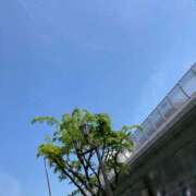 ヒメ日記 2025/04/27 10:19 投稿 七瀬 かえで 快楽園 大阪梅田