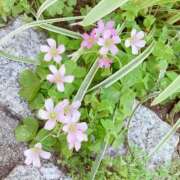 ヒメ日記 2025/05/14 15:29 投稿 七瀬 かえで 快楽園 大阪梅田