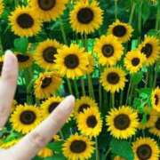 ヒメ日記 2025/07/17 10:56 投稿 七瀬 かえで 快楽園 大阪梅田