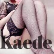 ヒメ日記 2025/11/19 23:09 投稿 七瀬 かえで 快楽園 大阪梅田