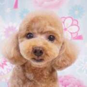 ヒメ日記 2025/05/28 18:37 投稿 もにか スピード日本橋店