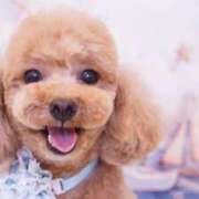 ヒメ日記 2025/08/25 20:00 投稿 もにか スピード日本橋店