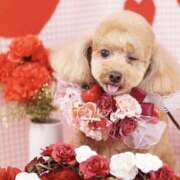 もにか もにか（スピード日本橋店） スピード日本橋店