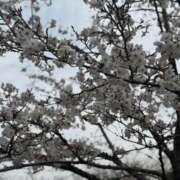 芳香/よしか おはようございます🌸 五反田アネージュ（ユメオト）