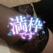 ヒメ日記 2025/02/20 08:21 投稿 星河　いと NADIA神戸店