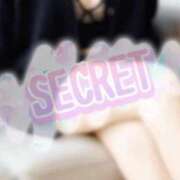 ヒメ日記 2025/01/13 11:50 投稿 さえ【高山出発】 Cat's高山店