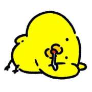 ヒメ日記 2025/01/17 13:20 投稿 さえ【高山出発】 Cat's高山店