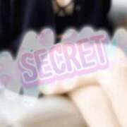 ヒメ日記 2025/01/24 15:10 投稿 さえ【高山出発】 Cat's高山店