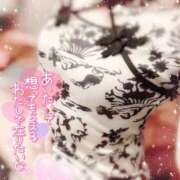 ヒメ日記 2025/01/30 19:50 投稿 さえ【高山出発】 Cat's高山店