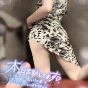 ヒメ日記 2025/03/04 16:00 投稿 さえ【高山出発】 Cat's高山店