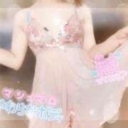 ヒメ日記 2025/03/09 09:50 投稿 さえ【高山出発】 Cat's高山店