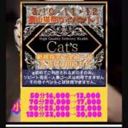 ヒメ日記 2025/03/11 09:30 投稿 さえ【高山出発】 Cat's高山店