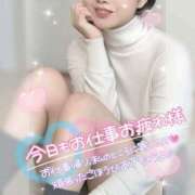 ヒメ日記 2025/03/18 16:10 投稿 さえ【高山出発】 Cat's高山店