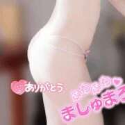 ヒメ日記 2025/03/19 22:20 投稿 さえ【高山出発】 Cat's高山店